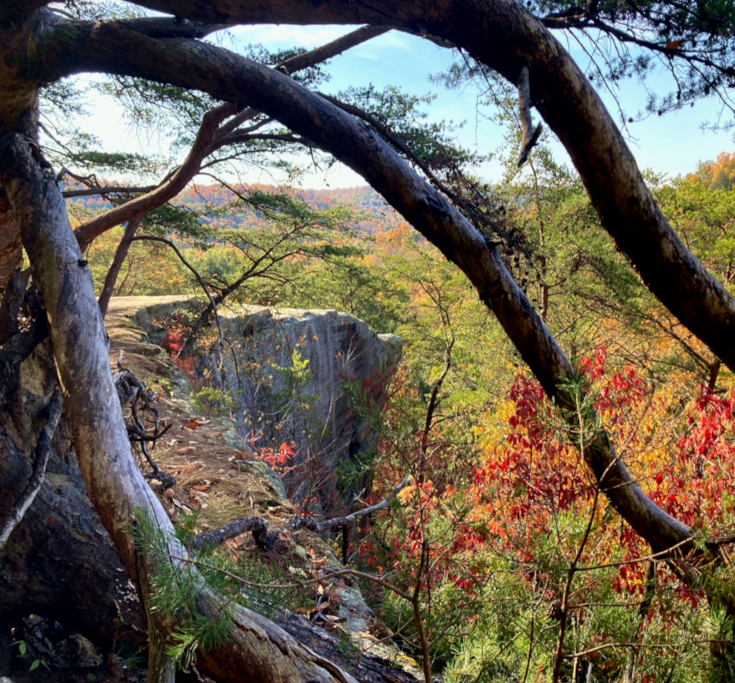 Hocking Hills Fall Colors: Airplane Rock in southeastern Ohio